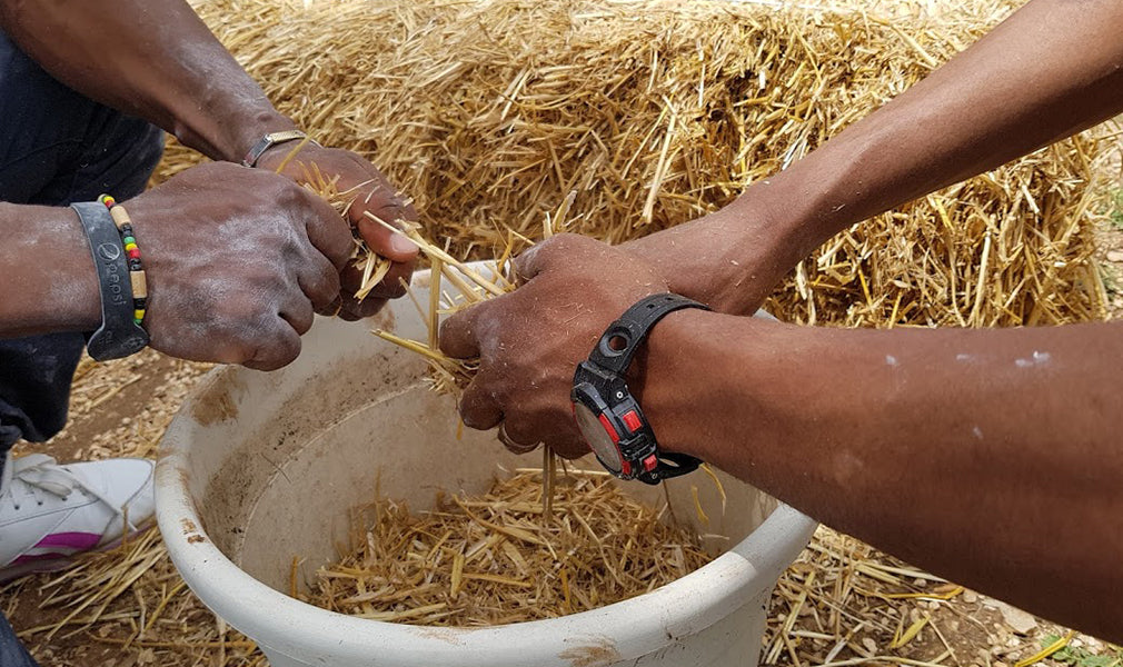 COSTRUIRE CON LA TERRA