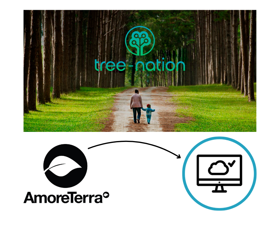 Immagine di tree nation e amoreterra