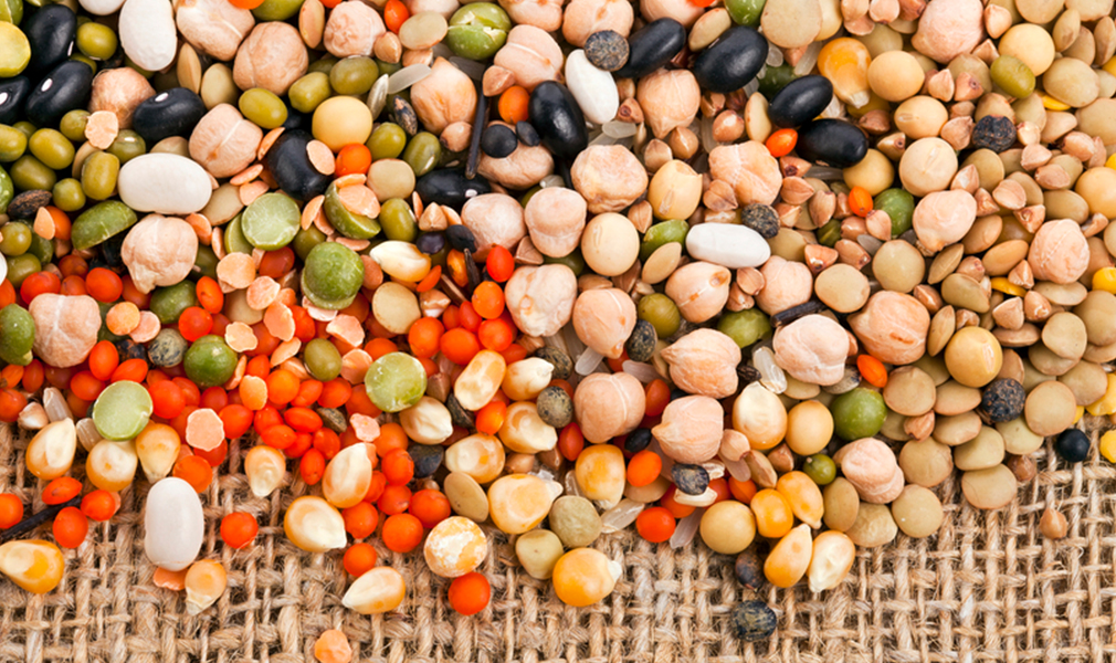 semi cereali e legumi
