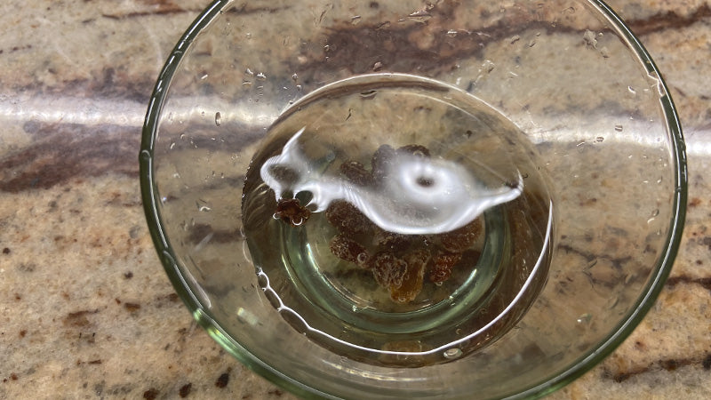 Muffins alla frutta secca, miele e farina di farro