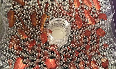 Crostata alla fragola