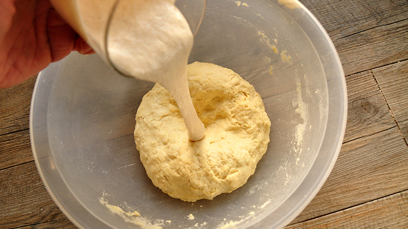 uniamo il lievito madre