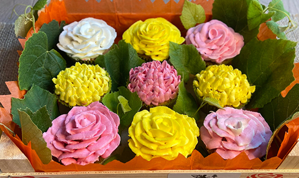 Blumenvase Cupcake-Box